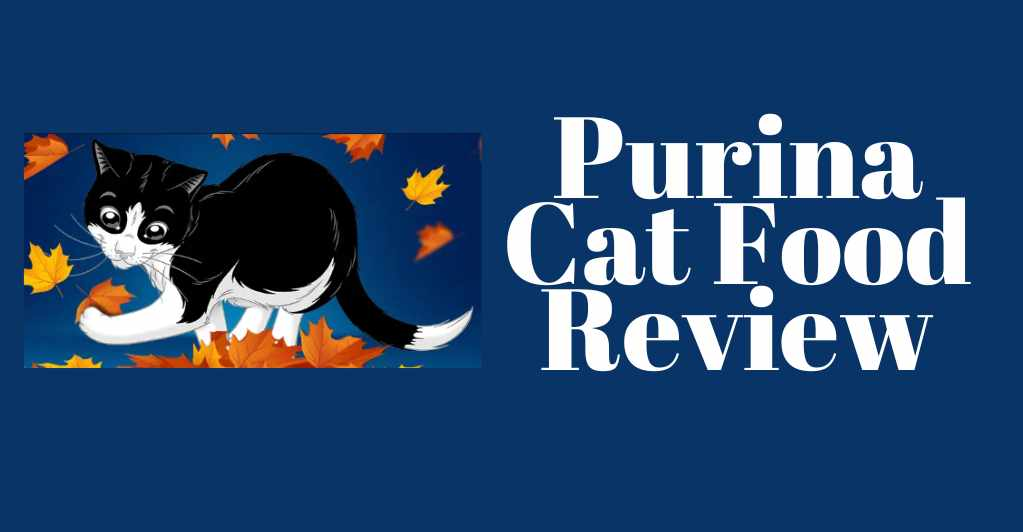 purina cat food